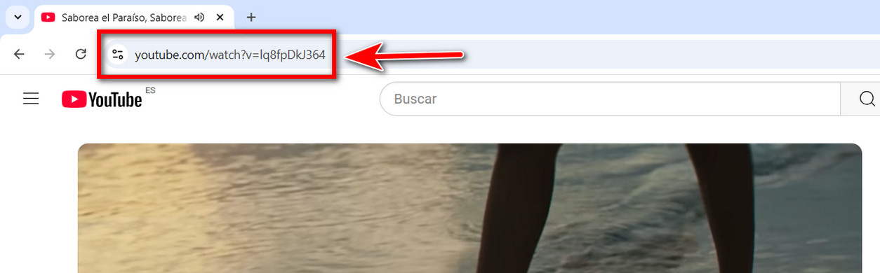 batch download tiktok videos