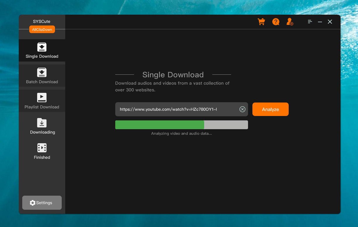 Enkele video downloaden AllClipDown